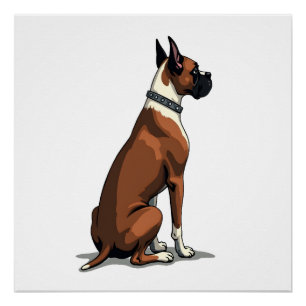 Póster Ilustração de cachorro boxer vintage por trás marr