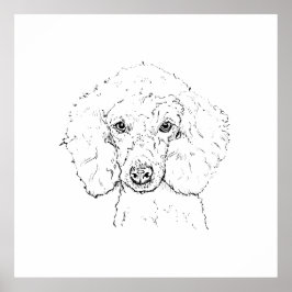 Poster Ilustração de Cachorro Poodle Fofo, Desenhado à Mã