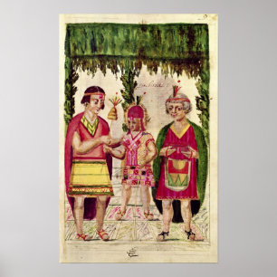 Póster Ilustração de Cincheroca