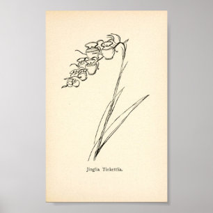 Poster Ilustração de colheita da planta de flores de ch