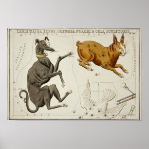 Poster Ilustração de Constelação de Vintage