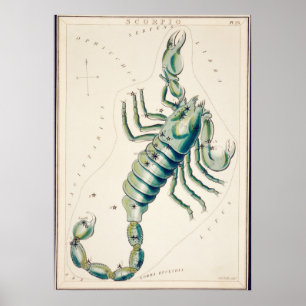 Poster Ilustração de Constelação de Vintage