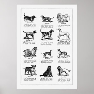 Poster Ilustração de Criação de Cães Vintage, Cães Retro