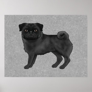 Poster Ilustração de desenho animado de cachorro pug pret