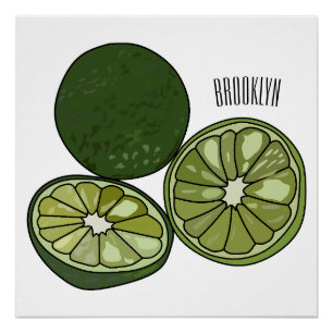 Póster Ilustração de desenho animado do limão Kaffir