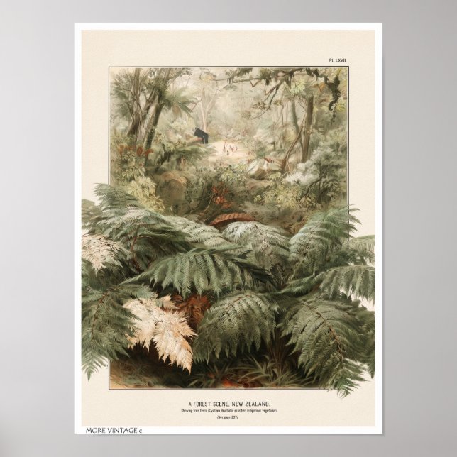 POSTER ILUSTRAÇÃO DE ESTILO RETRÔ DA FLORESTA DA NOVA ZEL (Frente)