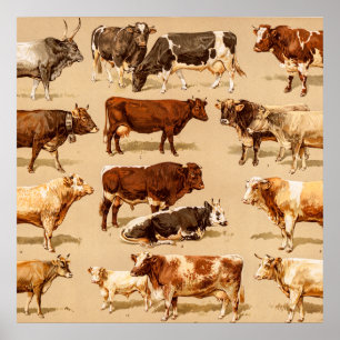 Póster Ilustração de Fazenda Vintage Cow Calf Bull Dairy