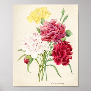 Poster ilustração de flores cor-de-rosa para arte