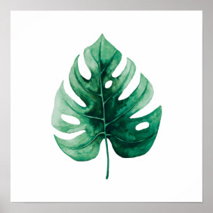Poster Ilustração de Folha Verde de Cores Aquáticas Tr