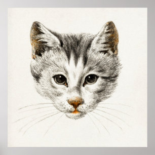 Poster Ilustração de Gato de Vintage