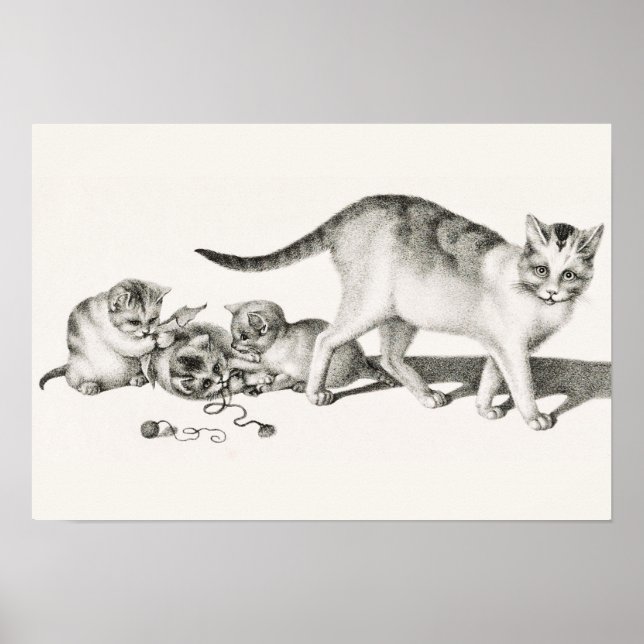 Poster Ilustração de Gato de Vintage (Frente)