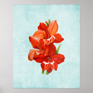 Poster Ilustração de Gladiolus em Denim Envelhecido