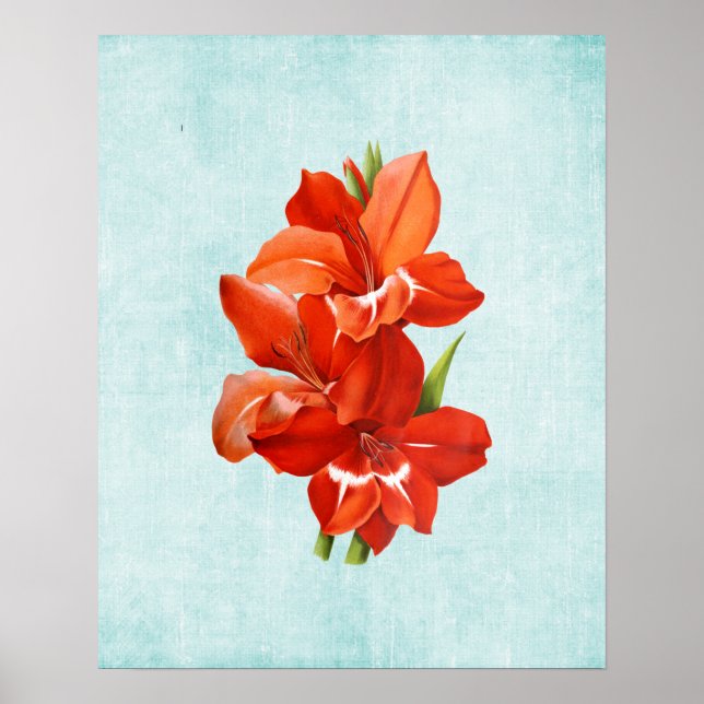 Poster Ilustração de Gladiolus em Denim Envelhecido (Frente)