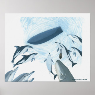 Póster Ilustração de golfinhos olhando para um barco