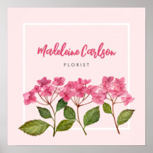 Ilustração de Lacecaps de Hortênsia Rosa em Aquare