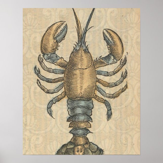 Poster Ilustração de Lagosta Antiga Frutos do Mar Maine (Frente)