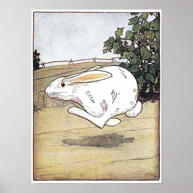 Poster Ilustração de Livro Infantil Little Critters Poste (Frente)