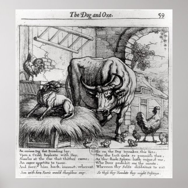 Poster Ilustração de 'O Cachorro e o Ox' (Frente)