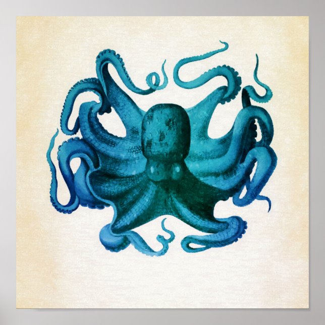 Póster Ilustração de Octopus de Aquarela (Frente)