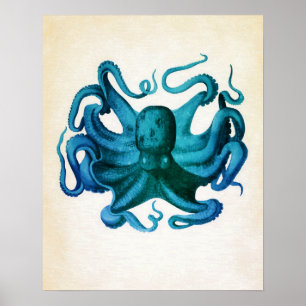 Póster Ilustração de Octopus de Aquarela
