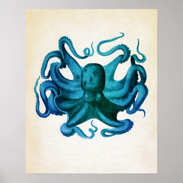 Póster Ilustração de Octopus de Aquarela (Frente)