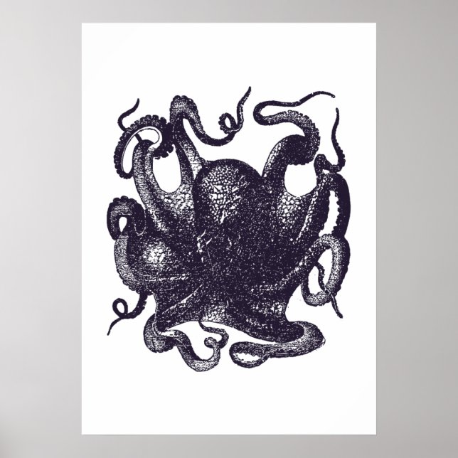 Póster Ilustração de Octopus Vintage (Frente)