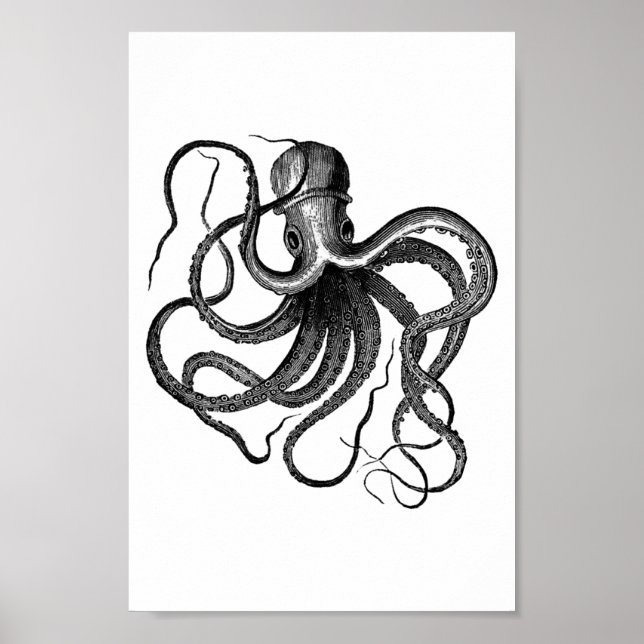 Póster Ilustração de Octopus Vintage (Frente)