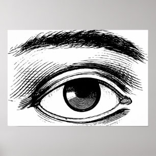 Poster Ilustração de Olhos de Vintage