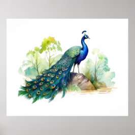 Poster Ilustração de Pavão