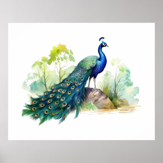 Poster Ilustração de Pavão	   (Frente)