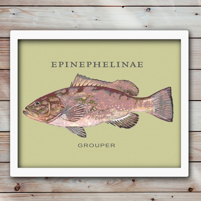 Póster Ilustração de Peixe Garoupa (Criador carregado)