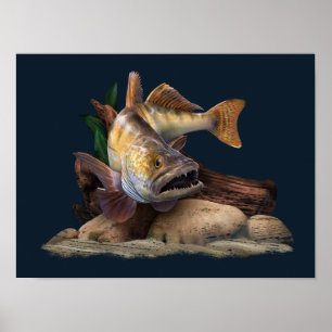 Poster Ilustração de Pesca Walleye, pescador Walleye