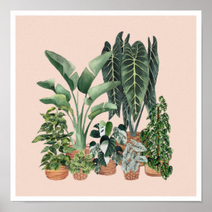 Poster Ilustração de plantas caseiras 4