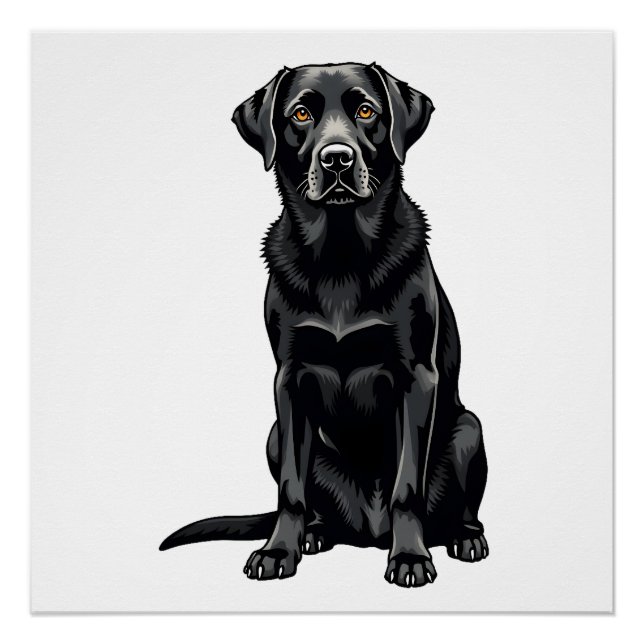 Póster Ilustração de retrato de cão Labrador Retriever pr (Frente)