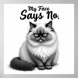 Poster Ilustração de Rosto de Gato Engraçado – Arte de Ga