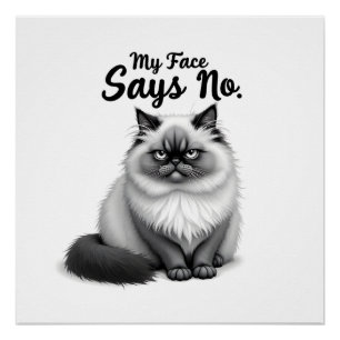 Póster Ilustração de Rosto de Gato Engraçado – Arte de Ga