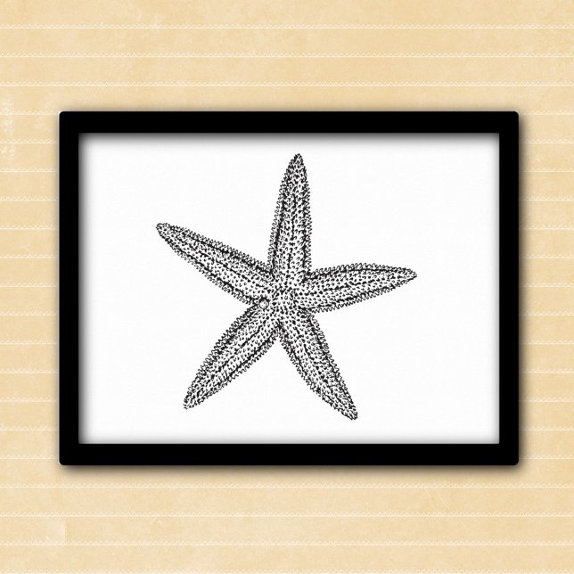 Poster Ilustração de Starfish em preto e branco (Criador carregado)
