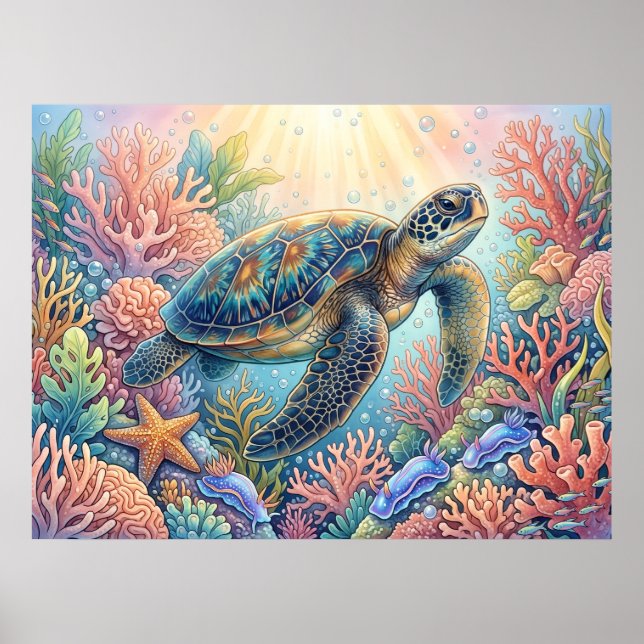 Poster Ilustração de Tartaruga (Frente)