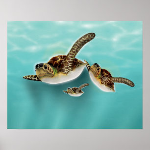 Póster Ilustração de Tartarugas Marinhas
