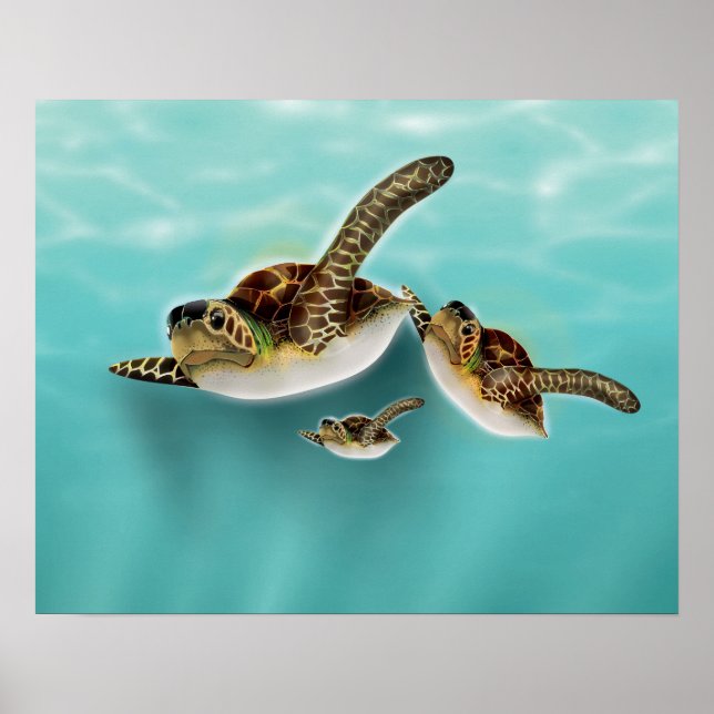 Póster Ilustração de Tartarugas Marinhas (Frente)