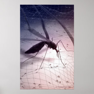 Póster Ilustração de uma mordedura do mosquito