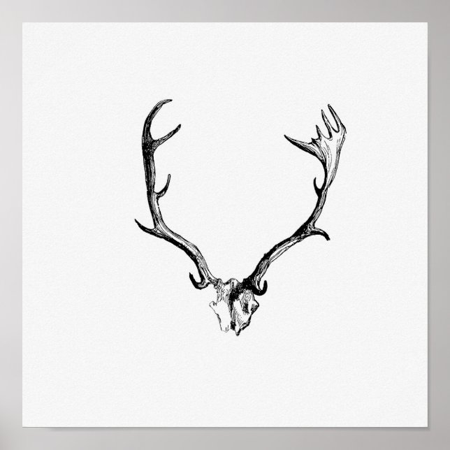 Poster Ilustração de Vintage Antlers (Frente)