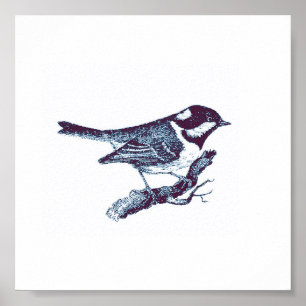 Poster Ilustração de Vintagem de Aves Azuis Pequenas e Cu