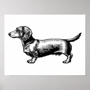 Poster Ilustração de Xilogravura Vintage de Dachshund