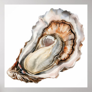 Poster Ilustração detalhada de ostra de aquarela