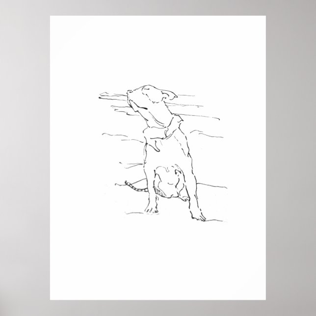 Poster Ilustração do American Staffordshire Terrier (Frente)