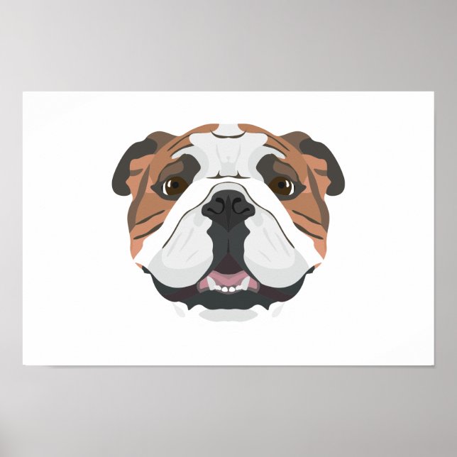 Poster Ilustração do Bulldog Inglês (Frente)