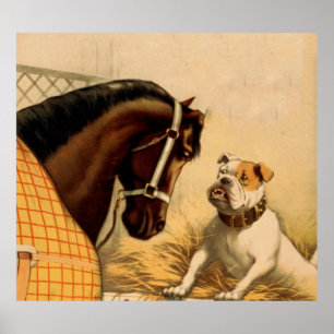 Poster Ilustração do Bulldog Inglês Vintage e Cavalo