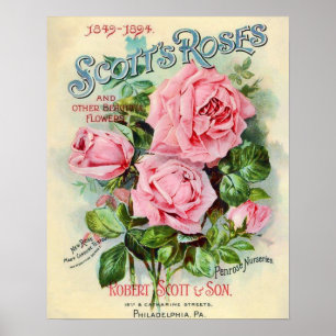 Poster Ilustração do Cobrir do Catálogo de Flores do V