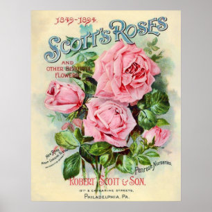 Póster Ilustração do Cobrir do Catálogo de Flores do V